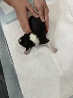 processed/e6b5b000-5f33-498c-a4c6-c57f9301f66f/listing/a5afcbce-b4c3-4e50-bb3c-ab1f8f51f68d/42867723-58aa-4378-8896-b863428fc5f7