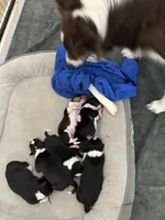 processed/e6b5b000-5f33-498c-a4c6-c57f9301f66f/listing/a5afcbce-b4c3-4e50-bb3c-ab1f8f51f68d/4684ef02-f61d-4b43-9670-4364cdf927f9