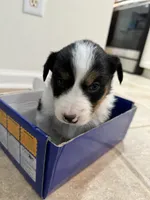 processed/e6b5b000-5f33-498c-a4c6-c57f9301f66f/listing/cb5e92b4-c3a4-4d6e-90f9-b600bdc03119/cda28b2a-e137-4e08-b5d8-602659440cce