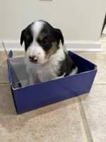 processed/e6b5b000-5f33-498c-a4c6-c57f9301f66f/listing/cb5e92b4-c3a4-4d6e-90f9-b600bdc03119/ff72b618-a16b-4992-a6a0-427c91ef461a