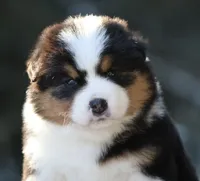 processed/e6ba4572-9af0-4850-abac-8fcad93f7f66/listing/1c4818ba-285b-49d0-9927-452665caef42/1e775d08-0461-4215-af25-6560899ddd5c