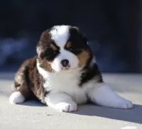 processed/e6ba4572-9af0-4850-abac-8fcad93f7f66/listing/1c4818ba-285b-49d0-9927-452665caef42/2f43dc19-ce2c-43fe-b06d-a6c9973b0d11