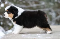 processed/e6ba4572-9af0-4850-abac-8fcad93f7f66/listing/1c4818ba-285b-49d0-9927-452665caef42/540afdf6-df79-478f-be7a-c2821bdc7302