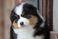 processed/e6ba4572-9af0-4850-abac-8fcad93f7f66/listing/1c4818ba-285b-49d0-9927-452665caef42/5953df1d-6133-4c78-95e6-a48def886954