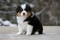 processed/e6ba4572-9af0-4850-abac-8fcad93f7f66/listing/1c4818ba-285b-49d0-9927-452665caef42/aa52feb1-9df3-449c-aa93-fa8f0d054669