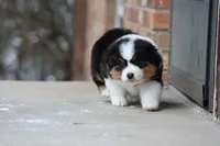 processed/e6ba4572-9af0-4850-abac-8fcad93f7f66/listing/1c4818ba-285b-49d0-9927-452665caef42/afb78e70-297f-4df8-ae64-e86576bc3c5e