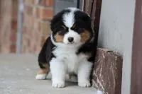 processed/e6ba4572-9af0-4850-abac-8fcad93f7f66/listing/1c4818ba-285b-49d0-9927-452665caef42/d8384409-8740-44ae-832b-e764907ed94e