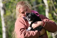 Uno , a male Toy Australian Shepherd for sale in Lake City, MI – 4 of 4