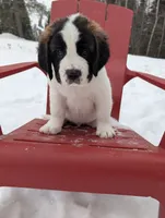 processed/e6bbc102-5644-4375-b387-8bd2159ce60c/listing/27ebdc33-efd9-4623-95b1-b5ecb83dd8b2/1d58dae6-93af-42c3-895b-186284cc9ac6