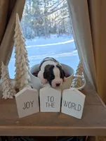 processed/e6bbc102-5644-4375-b387-8bd2159ce60c/listing/27ebdc33-efd9-4623-95b1-b5ecb83dd8b2/3bc6dabf-ae22-44d8-9faf-ac725883c43f