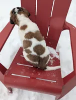 processed/e6bbc102-5644-4375-b387-8bd2159ce60c/listing/27ebdc33-efd9-4623-95b1-b5ecb83dd8b2/454ba587-a499-4cbe-a9f6-d6e4ab96b9ef