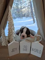 processed/e6bbc102-5644-4375-b387-8bd2159ce60c/listing/27ebdc33-efd9-4623-95b1-b5ecb83dd8b2/c79e272e-759f-49dd-b304-893c6177cb04