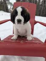 processed/e6bbc102-5644-4375-b387-8bd2159ce60c/listing/27ebdc33-efd9-4623-95b1-b5ecb83dd8b2/cc8c2409-cbfd-4d9a-a972-fd32d7b097be