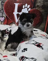 processed/e6bcb93c-379a-488e-bb7c-d7fab81b9355/listing/bdd59df2-5a00-48c6-aa22-81149bced0ab/1e78b680-f4f2-4fa9-9d37-efa4cdad9c13