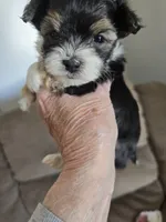 processed/e6bcb93c-379a-488e-bb7c-d7fab81b9355/listing/bdd59df2-5a00-48c6-aa22-81149bced0ab/4cfdb5a0-ba9e-4013-b7f5-ae0d36a3f467