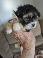 processed/e6bcb93c-379a-488e-bb7c-d7fab81b9355/listing/bdd59df2-5a00-48c6-aa22-81149bced0ab/4ec3f673-db8b-4124-97fd-2a0e7102ff65