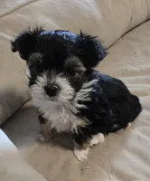 processed/e6bcb93c-379a-488e-bb7c-d7fab81b9355/listing/bdd59df2-5a00-48c6-aa22-81149bced0ab/a51ae125-4400-4bfa-9c99-6e06e2c3730e