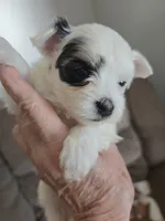 processed/e6bcb93c-379a-488e-bb7c-d7fab81b9355/listing/d2a184cd-4762-48f3-a3da-65b536fc9f74/03fa095a-da28-4bc4-a115-3907950aba5f