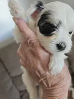 processed/e6bcb93c-379a-488e-bb7c-d7fab81b9355/listing/d2a184cd-4762-48f3-a3da-65b536fc9f74/4e65e792-61c5-47a0-bca7-7eb54df50dd0