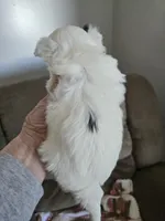 processed/e6bcb93c-379a-488e-bb7c-d7fab81b9355/listing/d2a184cd-4762-48f3-a3da-65b536fc9f74/b1880bde-ba4e-4e3b-8597-72419908bcf3