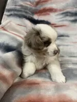 processed/e6c89ef0-9ddf-40a6-85a9-46f38df902d6/listing/7c009c9b-84c6-473f-9402-f0353ff740ea/37d7df13-b53c-4948-853b-705a8449110b