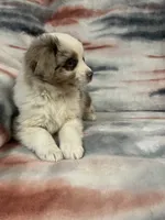 processed/e6c89ef0-9ddf-40a6-85a9-46f38df902d6/listing/7c009c9b-84c6-473f-9402-f0353ff740ea/3a9d22f2-4121-4793-b47b-4aaaaf77a7fb