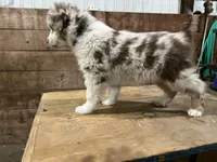 processed/e6c89ef0-9ddf-40a6-85a9-46f38df902d6/listing/7c009c9b-84c6-473f-9402-f0353ff740ea/7f8ddc08-dffa-4380-847e-893a568cb036