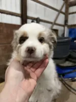 processed/e6c89ef0-9ddf-40a6-85a9-46f38df902d6/listing/7c009c9b-84c6-473f-9402-f0353ff740ea/a07f0364-6d70-4cfe-acb2-584a36503928