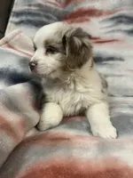 processed/e6c89ef0-9ddf-40a6-85a9-46f38df902d6/listing/7c009c9b-84c6-473f-9402-f0353ff740ea/ac749573-348e-4eec-be1f-d4d107fd76eb