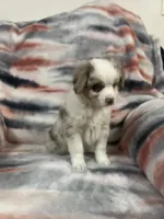 processed/e6c89ef0-9ddf-40a6-85a9-46f38df902d6/listing/7c009c9b-84c6-473f-9402-f0353ff740ea/e25c31f4-6c7e-448c-a38b-a514c65722bf