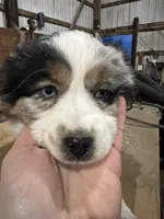 processed/e6c89ef0-9ddf-40a6-85a9-46f38df902d6/listing/d1bb0d90-8265-4bb4-a6e8-031ff7549668/2c750a85-32fd-4a21-b2b9-d5c1601d4d10