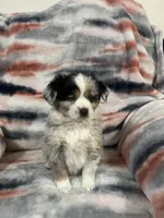 processed/e6c89ef0-9ddf-40a6-85a9-46f38df902d6/listing/d1bb0d90-8265-4bb4-a6e8-031ff7549668/3eda0f81-b94a-4332-8c1c-fb637bc72d76