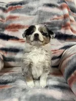 processed/e6c89ef0-9ddf-40a6-85a9-46f38df902d6/listing/d1bb0d90-8265-4bb4-a6e8-031ff7549668/795a747e-dc8e-42fe-bfd7-ef21690cbb7a