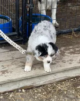 processed/e6c89ef0-9ddf-40a6-85a9-46f38df902d6/listing/d1bb0d90-8265-4bb4-a6e8-031ff7549668/857e19e1-0e03-4d32-af7a-d98e4ea24f82