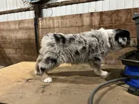 processed/e6c89ef0-9ddf-40a6-85a9-46f38df902d6/listing/d1bb0d90-8265-4bb4-a6e8-031ff7549668/9ceb992b-44ac-4ff6-b699-c17c4ac0cfa9