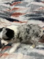 processed/e6c89ef0-9ddf-40a6-85a9-46f38df902d6/listing/d1bb0d90-8265-4bb4-a6e8-031ff7549668/9dbb2ae7-771a-4579-82f7-9df02926d52d