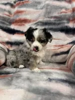 processed/e6c89ef0-9ddf-40a6-85a9-46f38df902d6/listing/d1bb0d90-8265-4bb4-a6e8-031ff7549668/cb995feb-eeaf-4548-8f79-0319cdf5d0aa