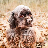 processed/e6da3e06-2dbc-47cc-b247-4df44d92eadc/facility/3145c2fb-bd9e-43e7-a161-c120d14f6d39