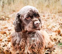 processed/e6da3e06-2dbc-47cc-b247-4df44d92eadc/facility/3145c2fb-bd9e-43e7-a161-c120d14f6d39