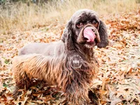 processed/e6da3e06-2dbc-47cc-b247-4df44d92eadc/facility/71df58cd-1c51-4f3f-8de1-2682d815db31