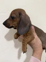 processed/e6eb6bdf-3960-4654-bfd8-38a162eb96ab/listing/8c6c236a-ea33-4bd3-a612-5ee7e6f0eca4/1bc2bb53-feb8-456f-91e2-b6bc10aa80c8