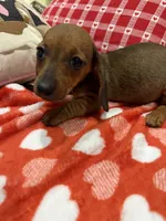 processed/e6eb6bdf-3960-4654-bfd8-38a162eb96ab/listing/8c6c236a-ea33-4bd3-a612-5ee7e6f0eca4/22e2d738-abde-4a70-bdff-ae62932f7331