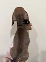 processed/e6eb6bdf-3960-4654-bfd8-38a162eb96ab/listing/8c6c236a-ea33-4bd3-a612-5ee7e6f0eca4/3082f032-19d7-4280-b680-bc6ef845496c