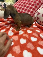 processed/e6eb6bdf-3960-4654-bfd8-38a162eb96ab/listing/8c6c236a-ea33-4bd3-a612-5ee7e6f0eca4/ae615b3a-d70c-422c-b1ac-ce893b9f7d30