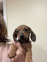 processed/e6eb6bdf-3960-4654-bfd8-38a162eb96ab/listing/8c6c236a-ea33-4bd3-a612-5ee7e6f0eca4/d5082434-5369-4eae-a25d-da3ea7b4a921