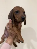 processed/e6eb6bdf-3960-4654-bfd8-38a162eb96ab/listing/9db93367-25ff-4c36-8ed4-1432ccd3f80b/3ff43048-fd01-4c14-8d5d-c47fe26f082e