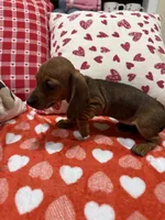 processed/e6eb6bdf-3960-4654-bfd8-38a162eb96ab/listing/9db93367-25ff-4c36-8ed4-1432ccd3f80b/86f3034f-e1c7-4d46-83fc-720bf627de74