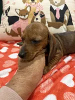 processed/e6eb6bdf-3960-4654-bfd8-38a162eb96ab/listing/9db93367-25ff-4c36-8ed4-1432ccd3f80b/9258a96c-1222-4ab4-9404-57421627d934