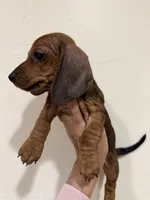 processed/e6eb6bdf-3960-4654-bfd8-38a162eb96ab/listing/9db93367-25ff-4c36-8ed4-1432ccd3f80b/9490681a-3872-408f-a22d-71e76d9e3560