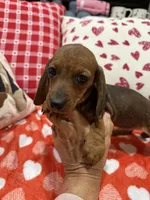 processed/e6eb6bdf-3960-4654-bfd8-38a162eb96ab/listing/9db93367-25ff-4c36-8ed4-1432ccd3f80b/cab39b52-b4df-4cca-8f43-74948262f4ed